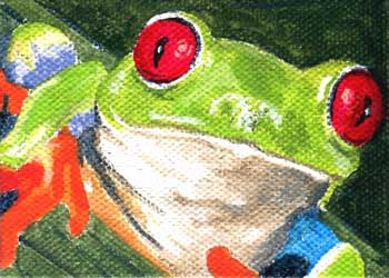 Agalychnis Callidryas (Red Eyed Tree Frog) Ruth E Jones Watertown WI acrylic
